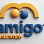 Amigo Insurance