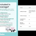what is plpd insurance